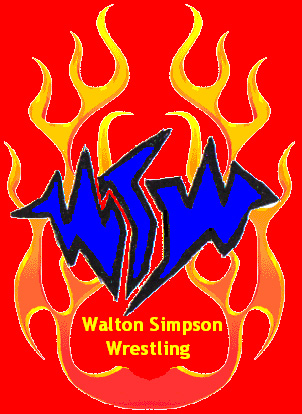 wswlogo5.jpg